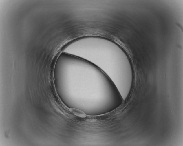 X0000102510203200808081014