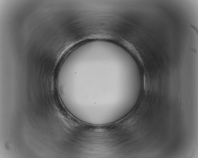 X0000102510204200808081014