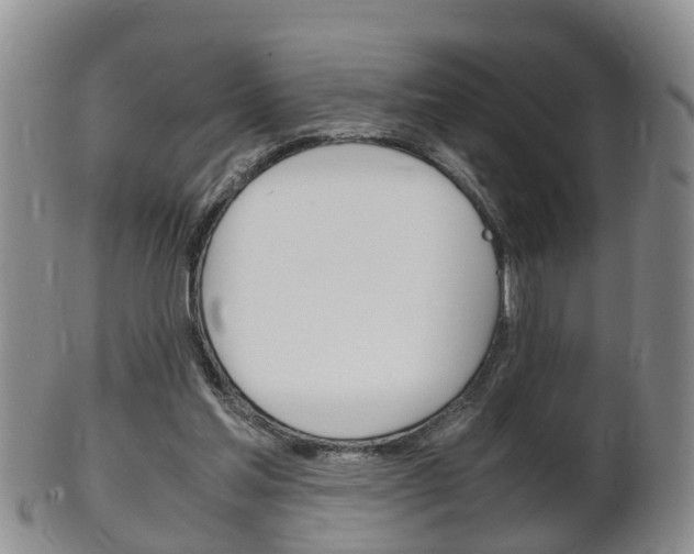 X0000102510205200808081014
