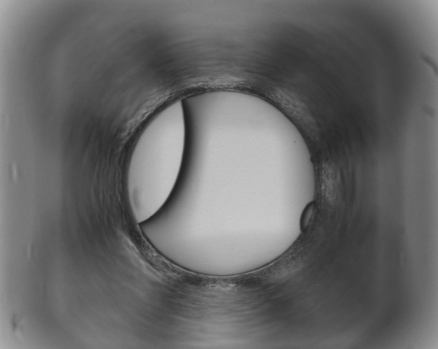 X0000102510206200808081014