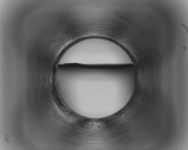 X0000102510208200808081014