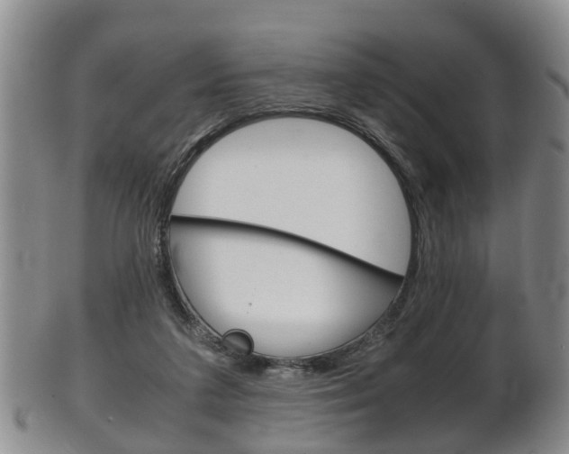 X0000102510211200808081014