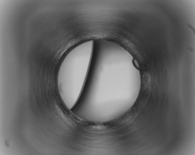 X0000102510212200808081014