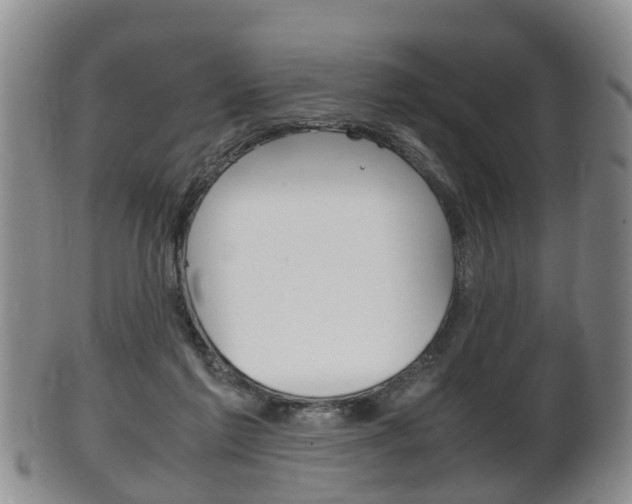 X0000102510213200808081014