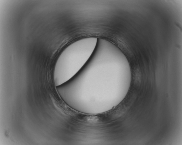 X0000102510214200808081014