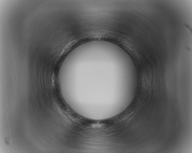 X0000102510216200808081014
