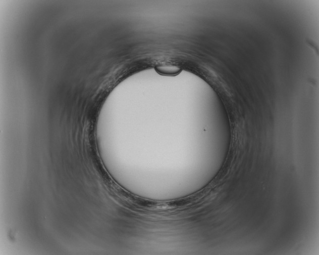 X0000102510217200808081014