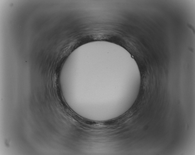 X0000102510219200808081014