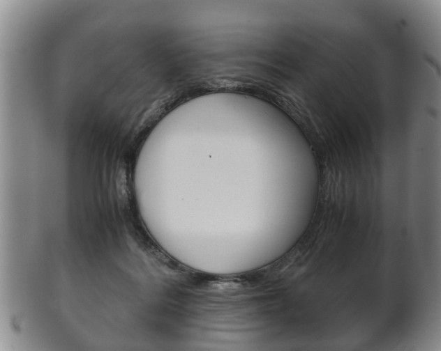 X0000102510220200808081014