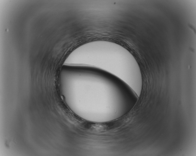 X0000102510221200808081014