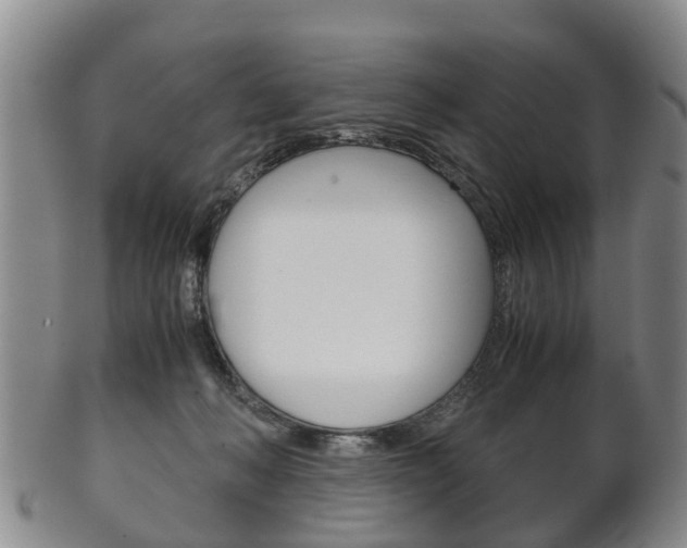 X0000102510222200808081014