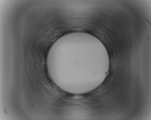 X0000102510223200808081014