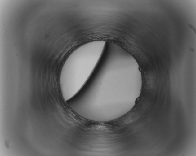 X0000102510224200808081014