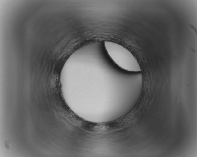 X0000102510225200808081014