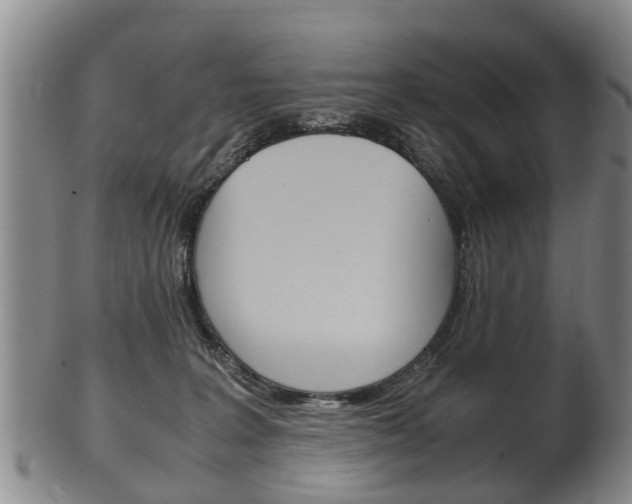X0000102510227200808081014