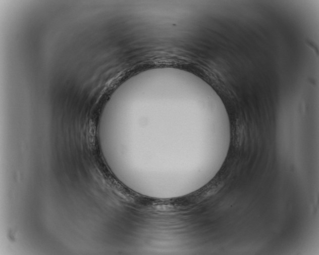 X0000102510228200808081014