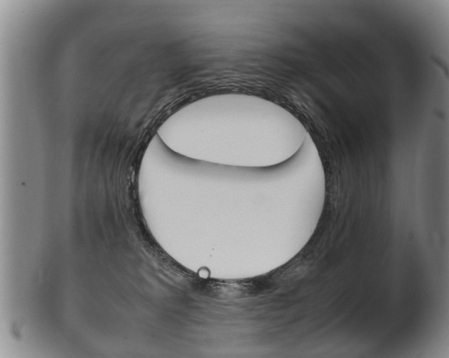 X0000102510229200808081014