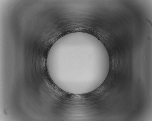 X0000102510230200808081014