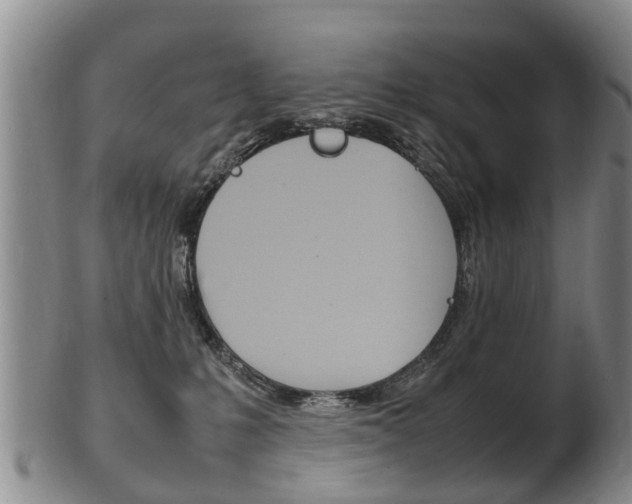 X0000102510231200808081014