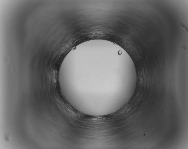 X0000102510232200808081014