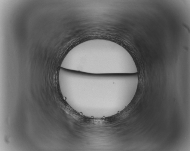 X0000102510233200808081014