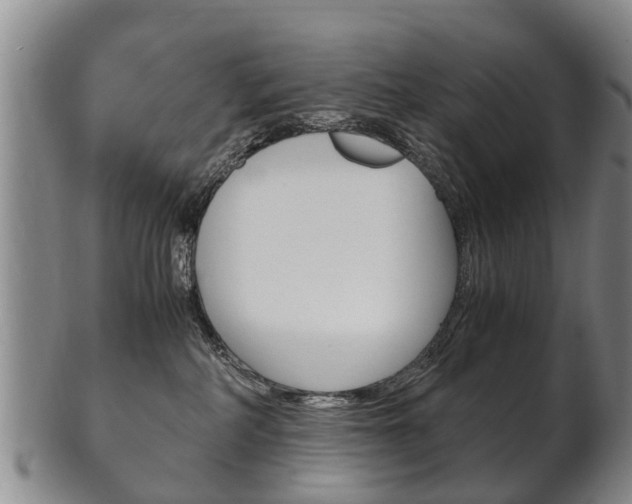X0000102510234200808081014