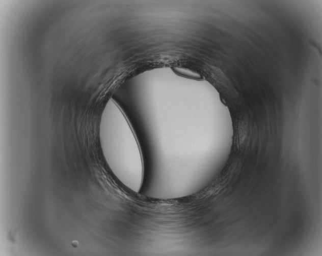 X0000102510236200808081014