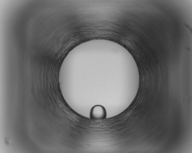 X0000102510237200808081014