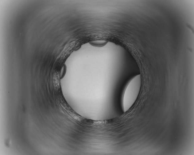 X0000102510240200808081014