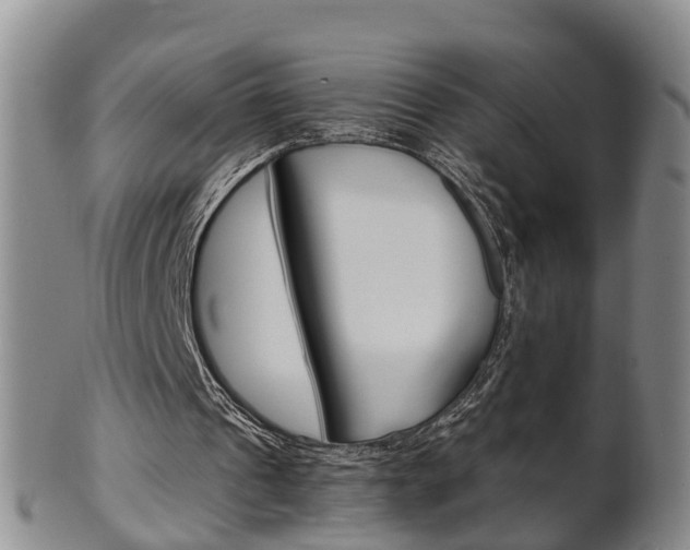X0000102510241200808081013