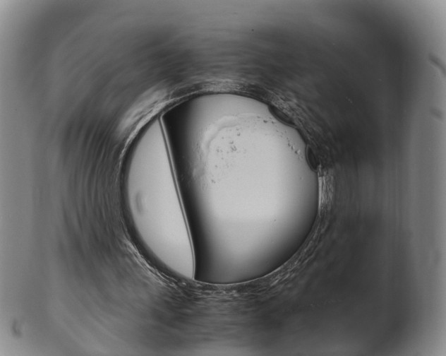 X0000102510243200808081013