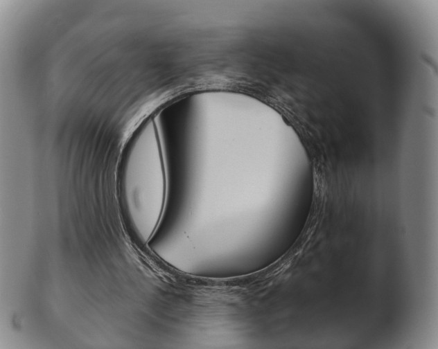 X0000102510244200808081013