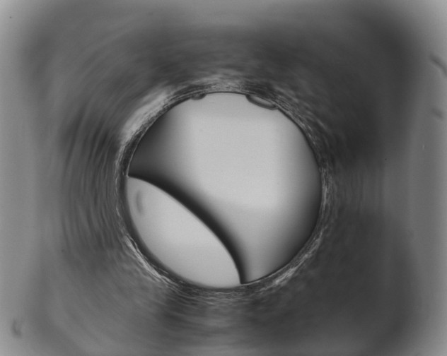 X0000102510245200808081013