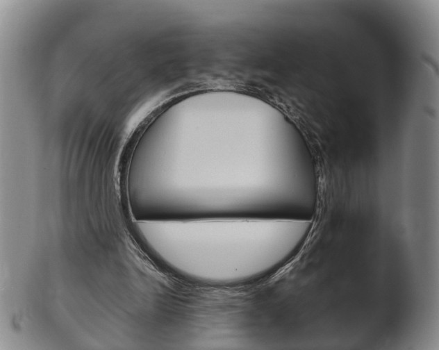 X0000102510246200808081013