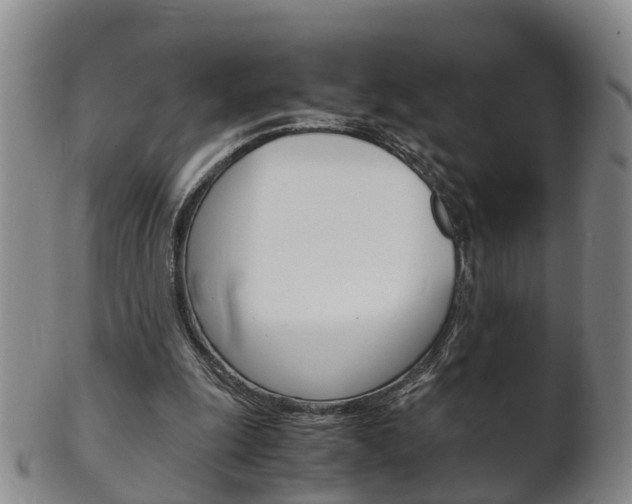 X0000102510247200808081013