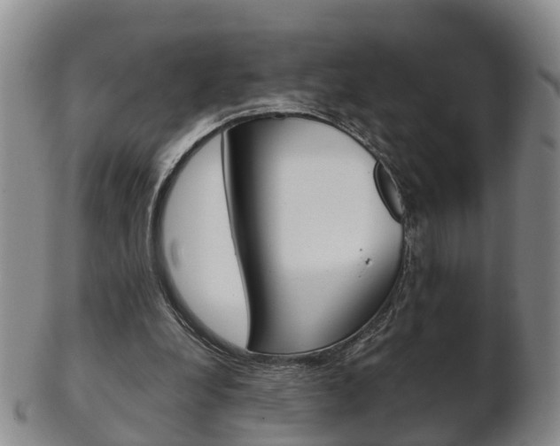 X0000102510248200808081013