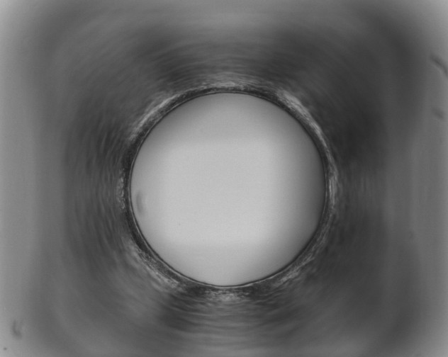 X0000102510249200808081013