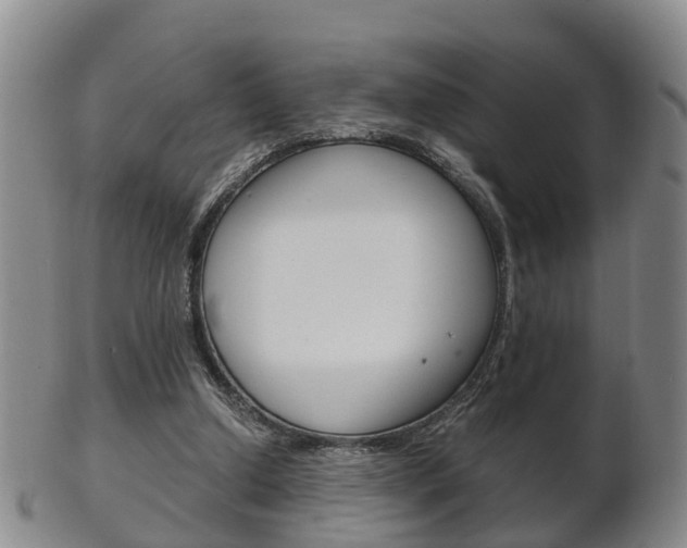 X0000102510250200808081013