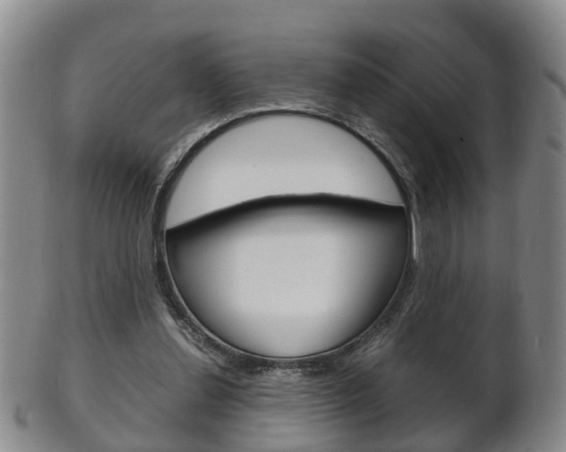 X0000102510252200808081013