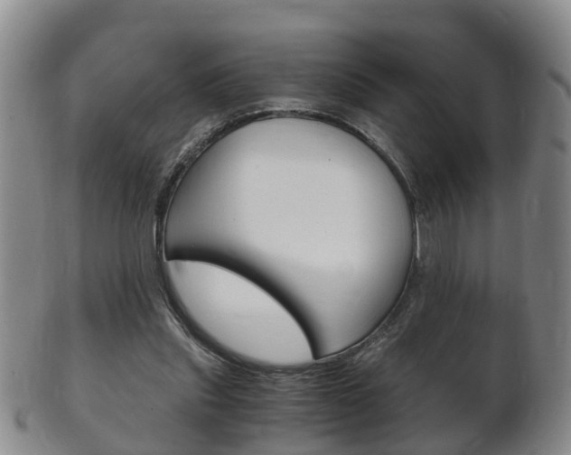 X0000102510253200808081013