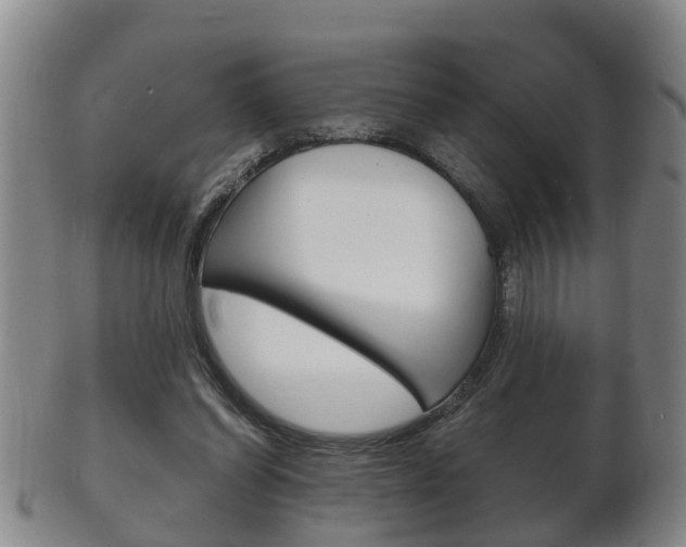 X0000102510254200808081013