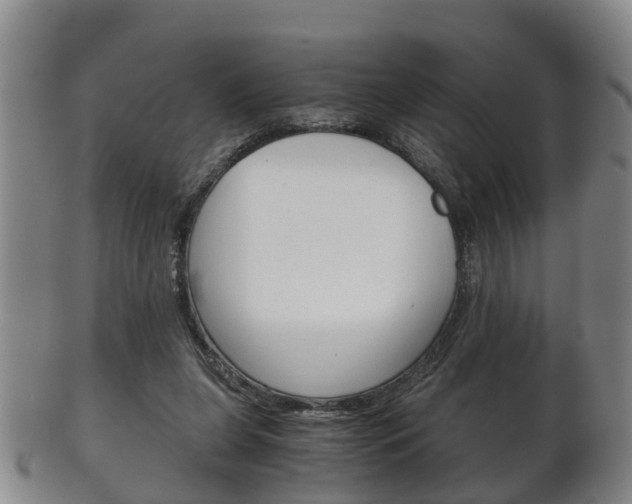 X0000102510255200808081013