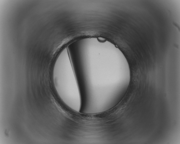 X0000102510256200808081013