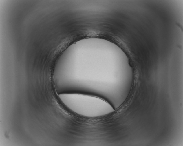 X0000102510257200808081013