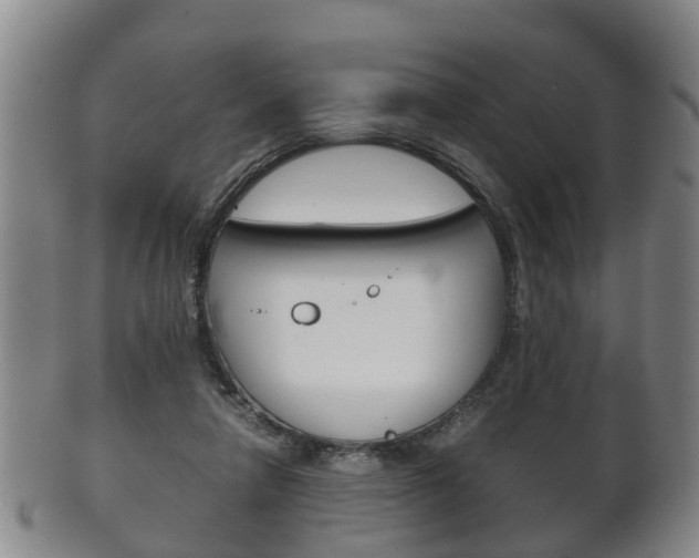 X0000102510258200808081013