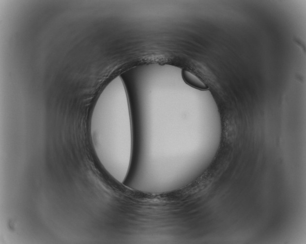 X0000102510259200808081013