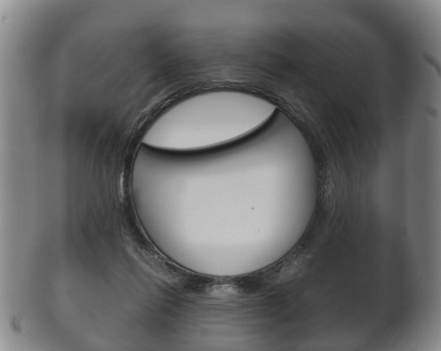 X0000102510262200808081013