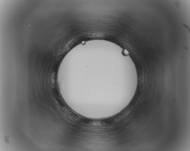 X0000102510264200808081013