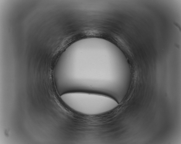X0000102510265200808081013