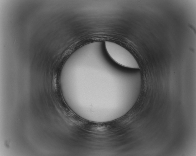 X0000102510267200808081013
